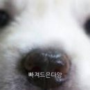 아이컨택 Daum카페