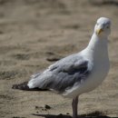 남해-108 이미지