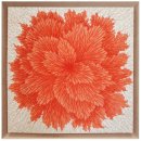 희망의 꽃 이미지