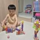 그림책으로 나누는 육아 정서(1) | 돌잡이부터 4살까지 수학 책육아 시작 현실 꿀팁