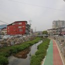 미락올갱이 이미지