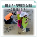 인천 마시안 갯벌체험장 아이랑 다녀온 후기 체험팁 &amp; 맛집 총정리!