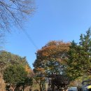 오대산내고향 이미지