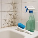 욕실 곰팡이 제거 준비물부터 방법까지 정리 이미지