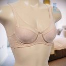 에스란제리 이미지