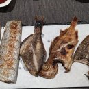 어리숙회 이미지