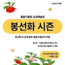 마이스정보사이트 - 율봄식물원 봉선화 시즌 이미지