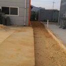 미니카센타 이미지