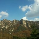 응봉농장 이미지