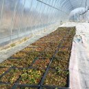 모터하우스 이미지