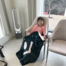 스테이더담 백학 이미지