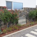 코지스테이 이미지