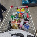 팀하드 피티 | 26년 1월