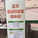 경북영주 풍기인삼축제 | 경북 가을축제 2025 영주 풍기인삼축제 후기