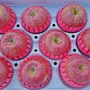 태산농장 1 이미지