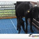 새로이농장 이미지