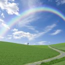 무지개사 이미지