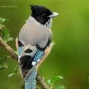 노을빛마을주공2단지 이미지