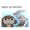 유월의 낮