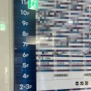 안양 인터비즈 | 친구 소개로 찾은 안양속눈썹 모우 블랙틴팅펌 후기