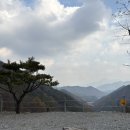 재오개캠핑장 | 내돈내산 찐 후기 : ) 충주재오개캠핑장 C-1구역 후기