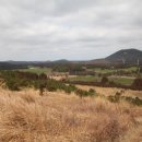 제주포인트투어 이미지