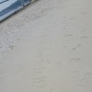 안성녀 노래교실 이미지