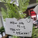 인생꽃집