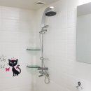 인천백석초등학교 이미지