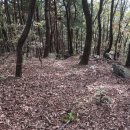 미산면사무소 이미지