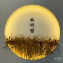 소미담목포 | 디저트카페같은 떡집 - 답례품 전문점 [소미담 목포남악점]
