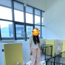 오프독 반려견 종합교육문화센터 이미지