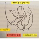 반다요가 이미지