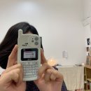 미모를담다