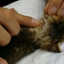 사상동물병원 이미지