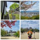 왈왈상점 | 마쓰야마 성 방문기🏯 (+리프트 탑승)