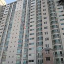 신봉1로 이미지