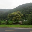 평창수림대펜션 이미지