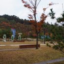 하늘밍고