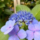 고성휴게주유소 이미지