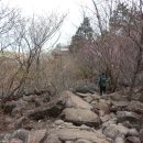 가천다랭이마을 이미지