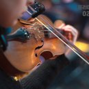 비올라 1:1 개인레슨 이미지