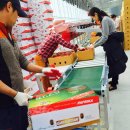 별빛농장 이미지