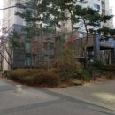 나루역사거리현대약국 이미지