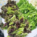 상동한식부페 이미지