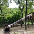 황금산 유아숲체험원 이미지