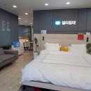 학성스포렉스 이미지