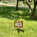 모찌모텔 | 공주 1박2일 뚜벅이 여행 코스 가볼 만한 곳 맛집 트리플일정 여행경비 공유