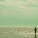 허브사랑 이미지