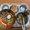 기타치는너구리